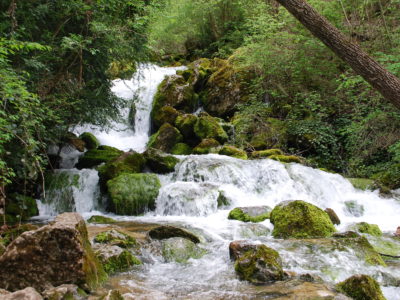 Fonts del Cardener