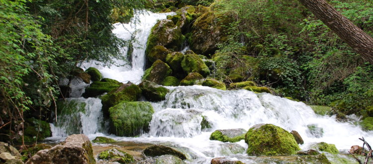 Fonts del Cardener